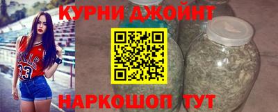 прущие грибы Гусев