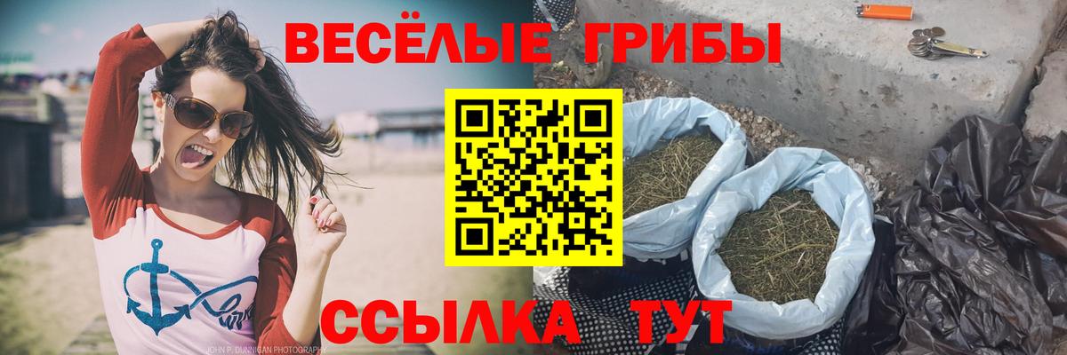 Псилоцибиновые грибы MAGIC MUSHROOMS  Вход с VPN  Псилоцибиновые грибы Psilocybe  Мурманск 