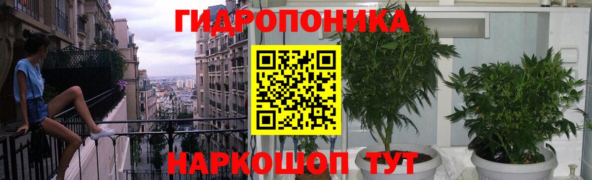 Бошки Шишки THC 21%  Марихуана конопля  Мурманск  Вход с VPN 